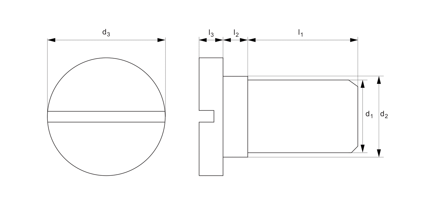 T0204.A4 Metric Ultra Low Slotted Cap Head Screws