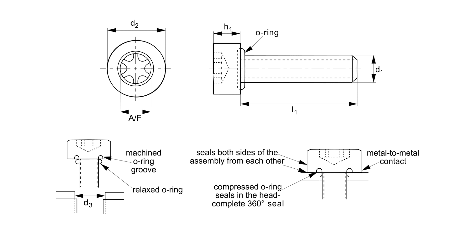 T0185 Cap Head Seal Screws