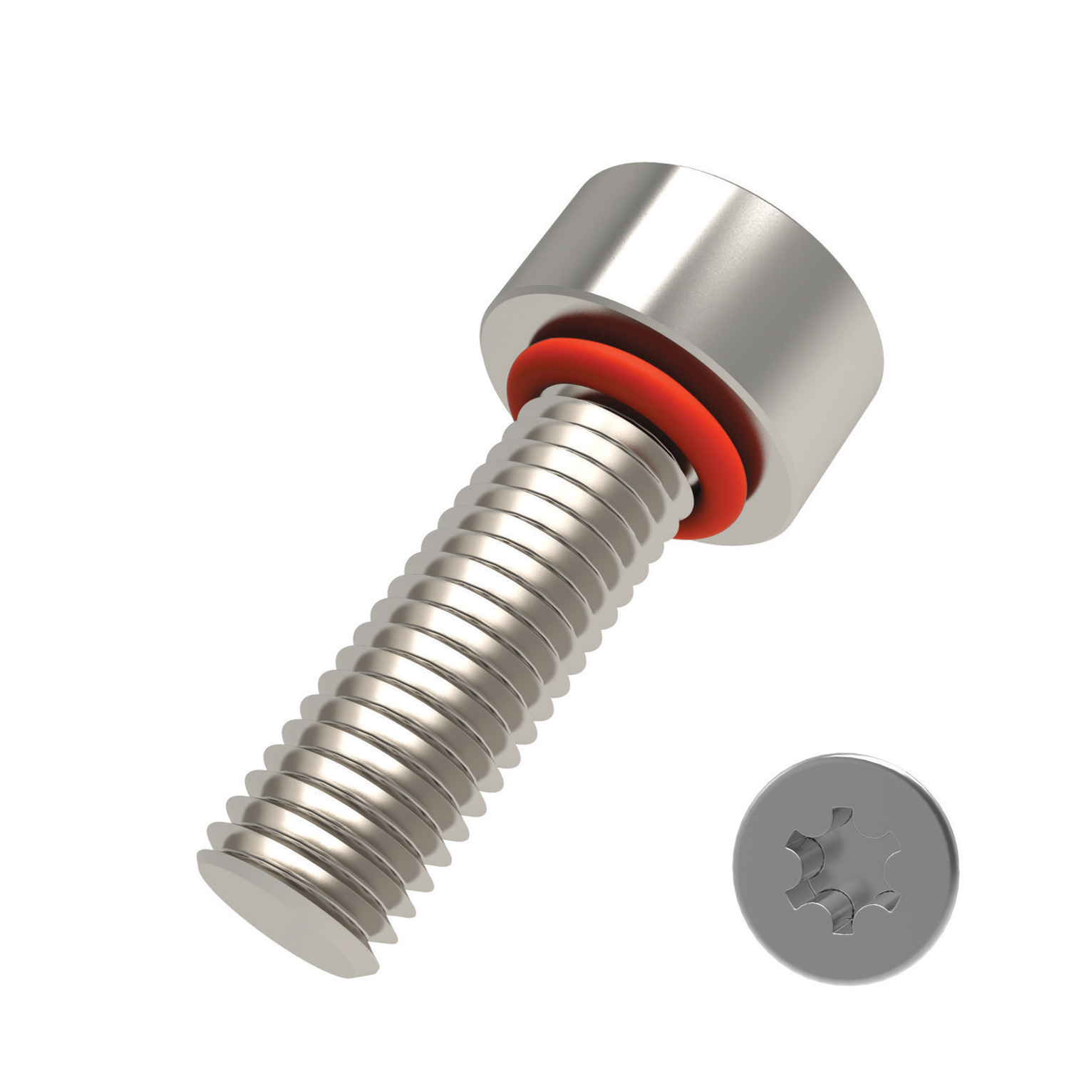 T0185 - Cap Head Seal Screws
