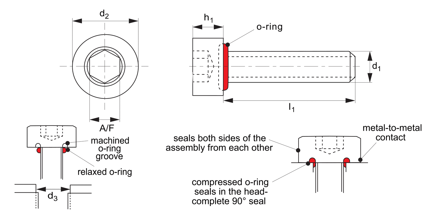 T0173 Cap Head Seal Screws