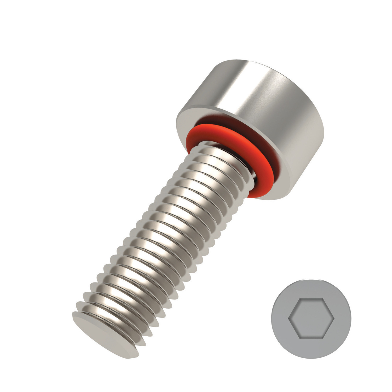 T0173 Cap Head Seal Screws