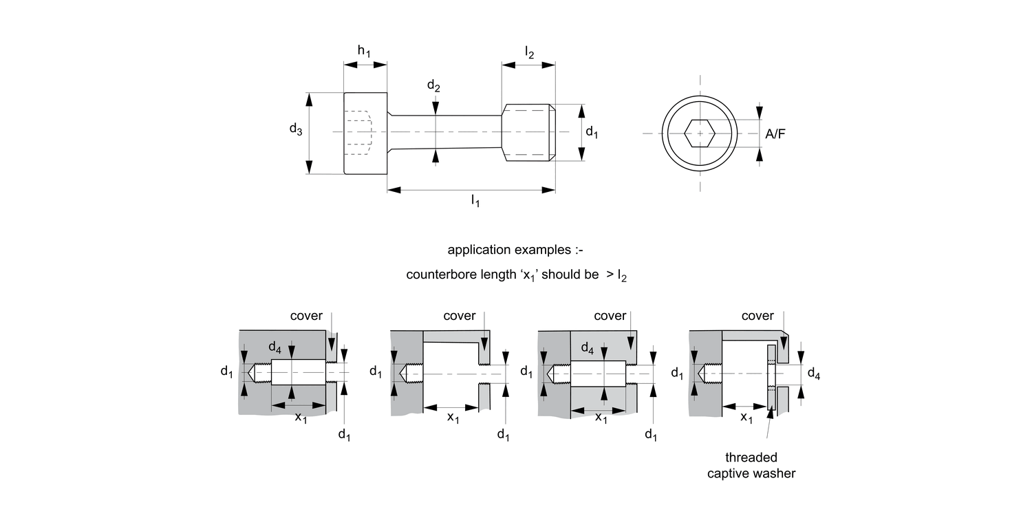 T0154.Ti Captive Screws - Cap Head