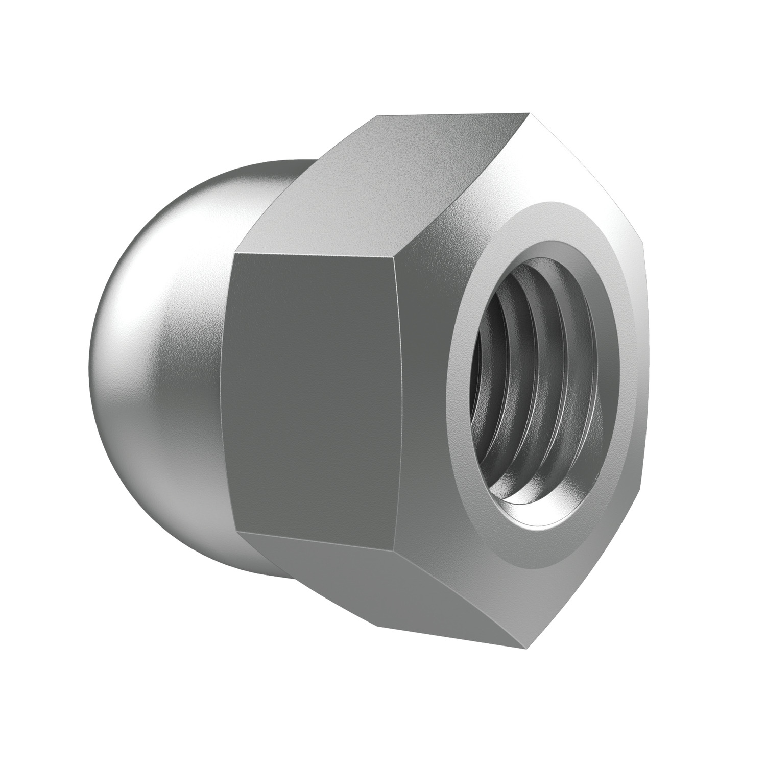 T0542.T5 Hexagon Domed Cap Nuts