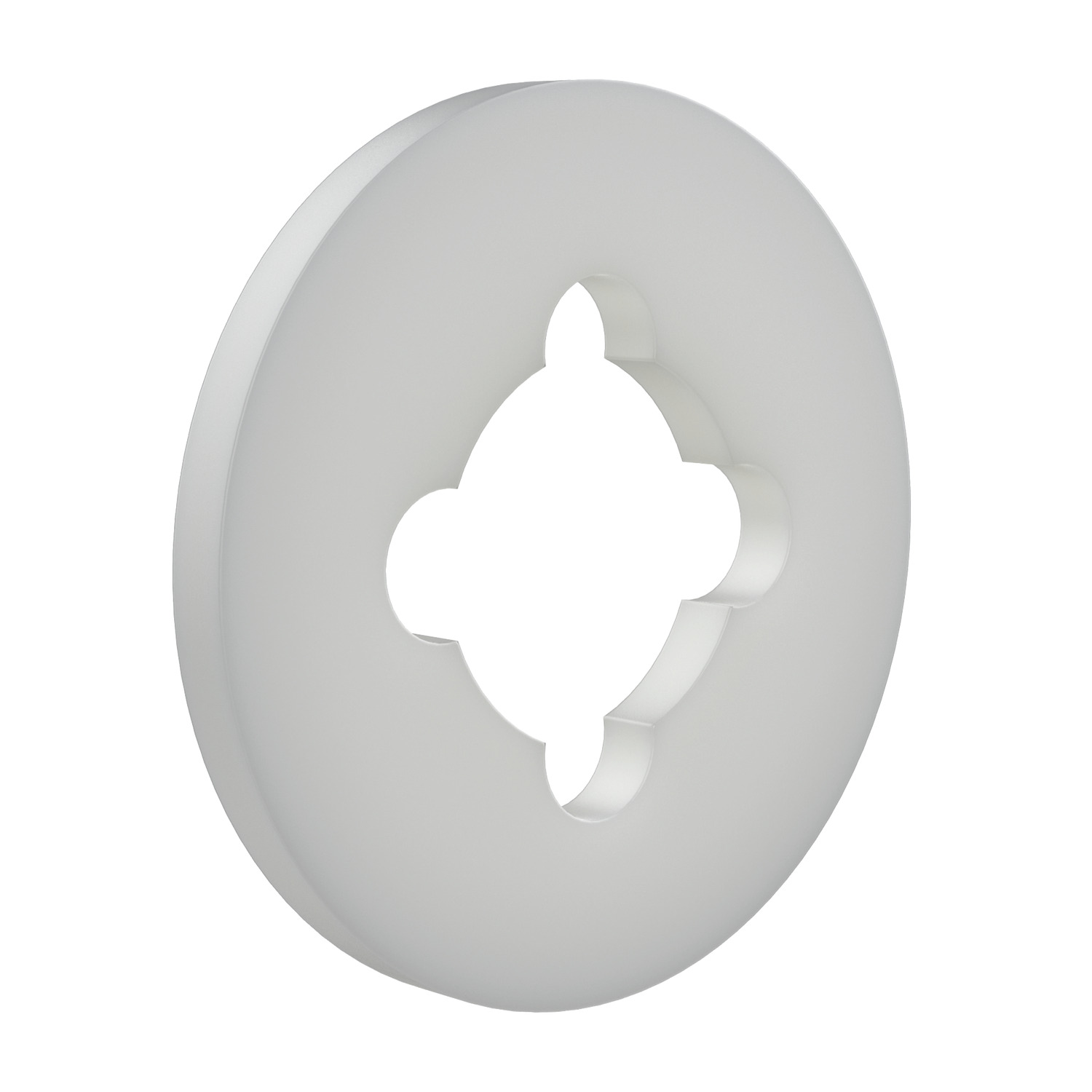 N0432.20N - Flat Anti-Loss Washers