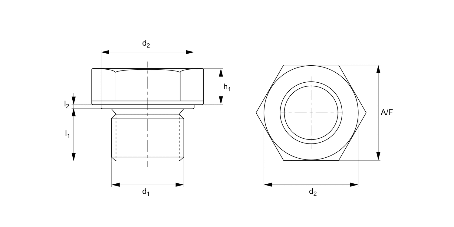 T0187 Hexagon Blanking Plugs
