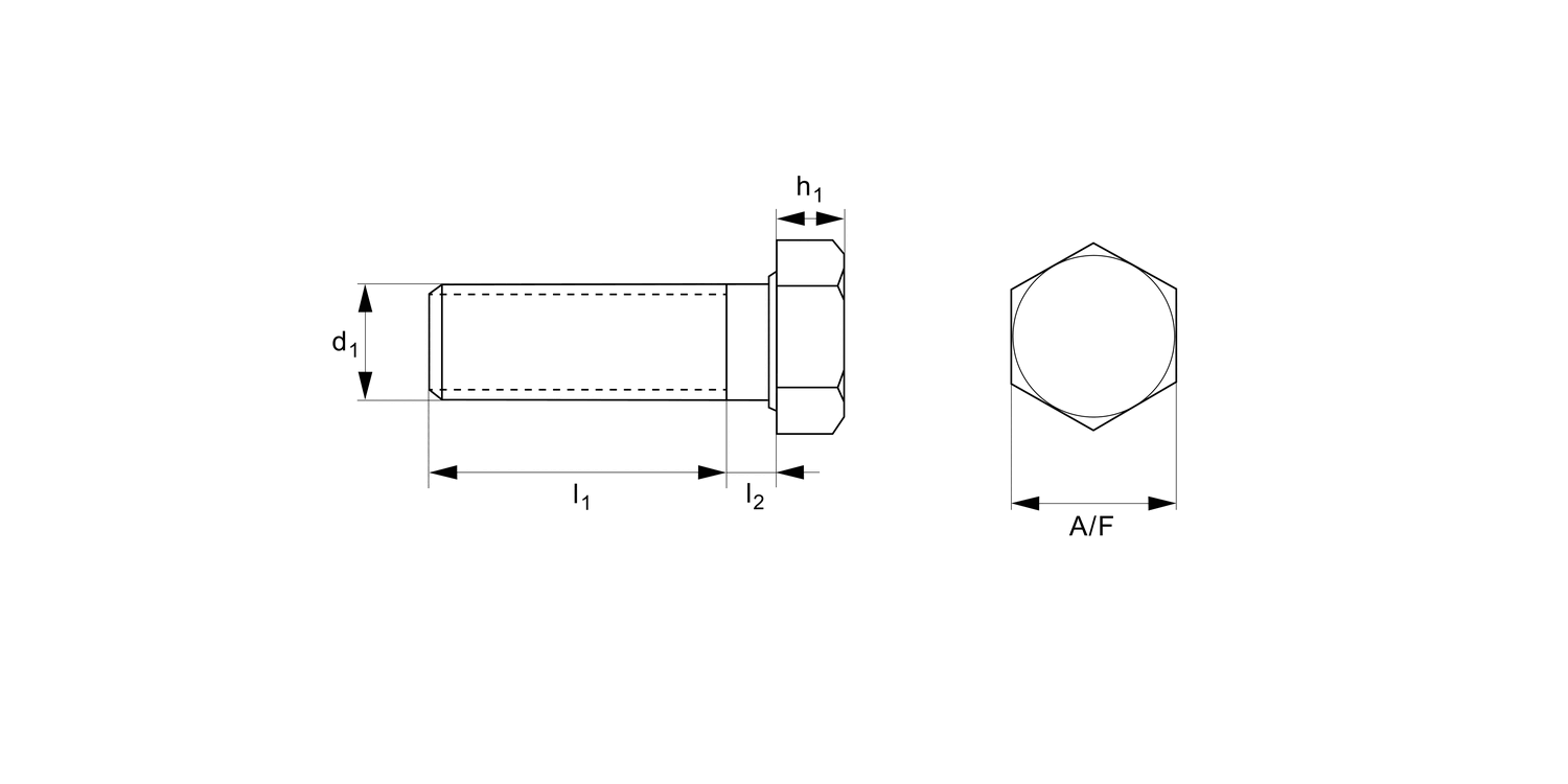 N0501.NP Hexagonal Head Set Screw