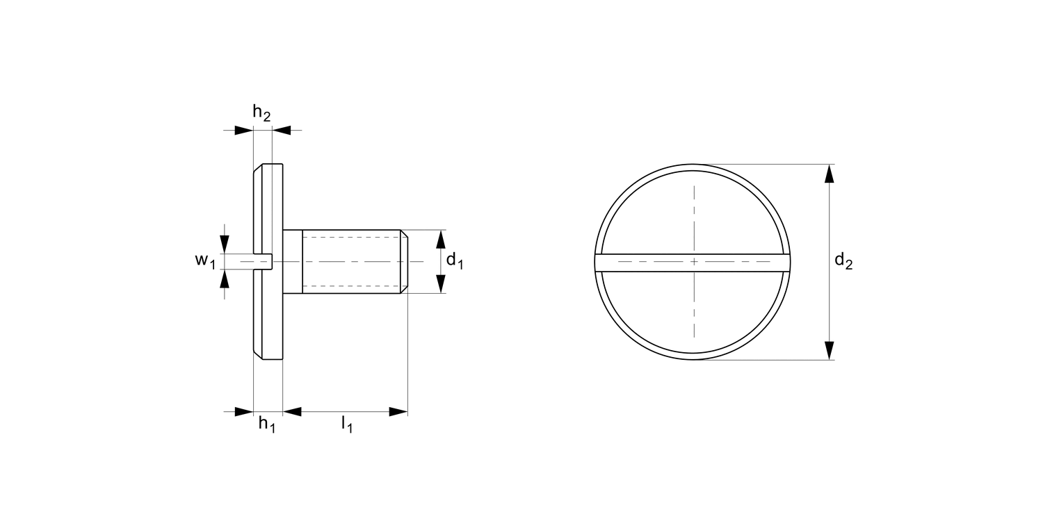 B0001.B0 Large Head Slot Pan Head Screws