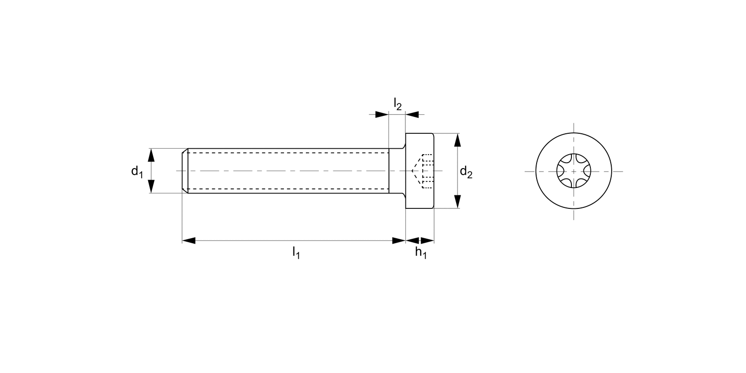 N0509.NP Torx Low Cap Head Screws