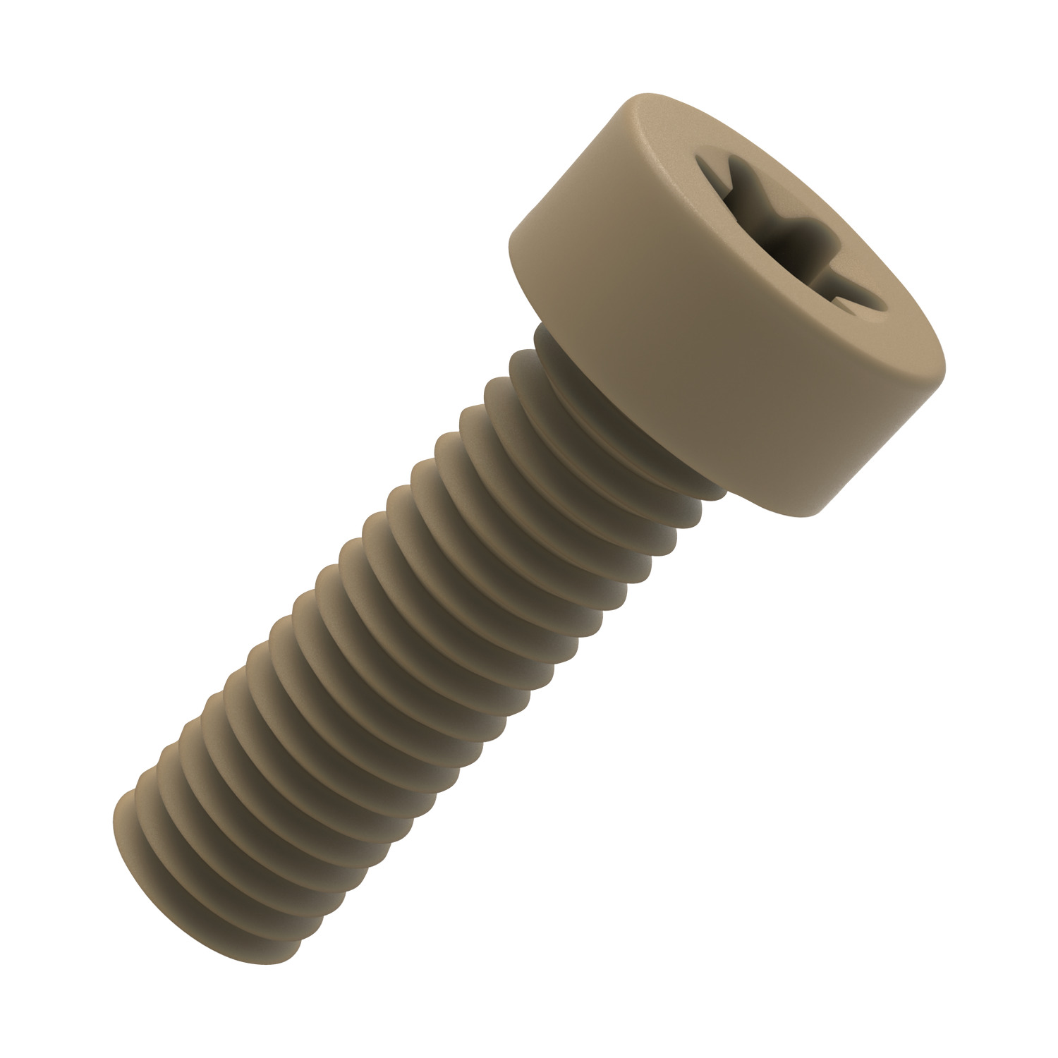 N0509.NP Torx Low Cap Head Screws