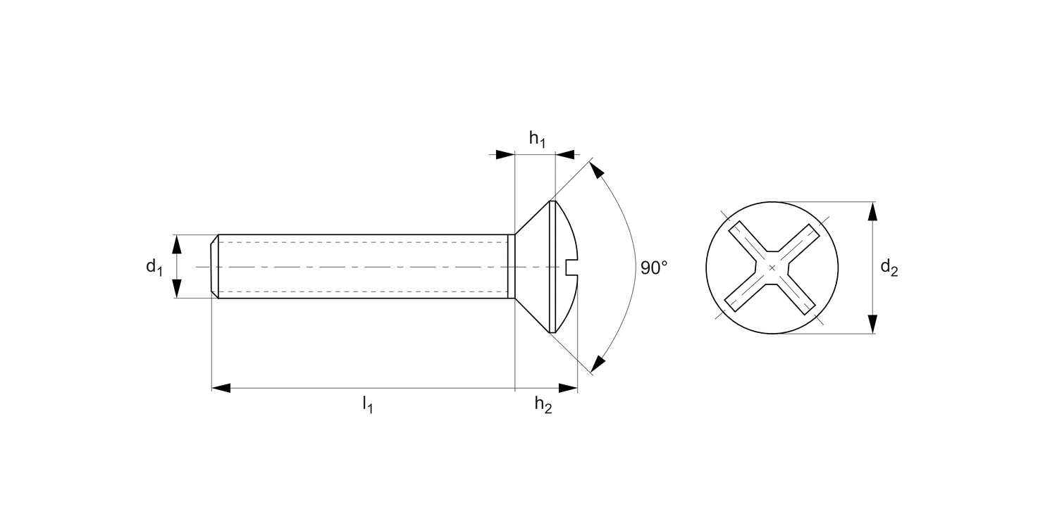 N0022.22N Pozi Raised CSK Screws