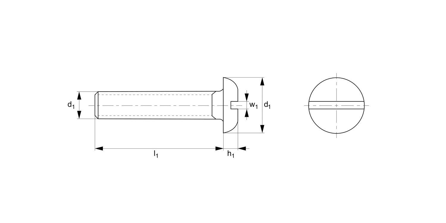 N0053.73N Slot Mushroom Machine Screws