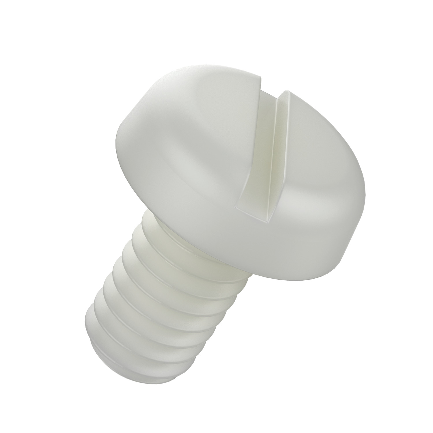 N0004.85N Slot Pan Screw