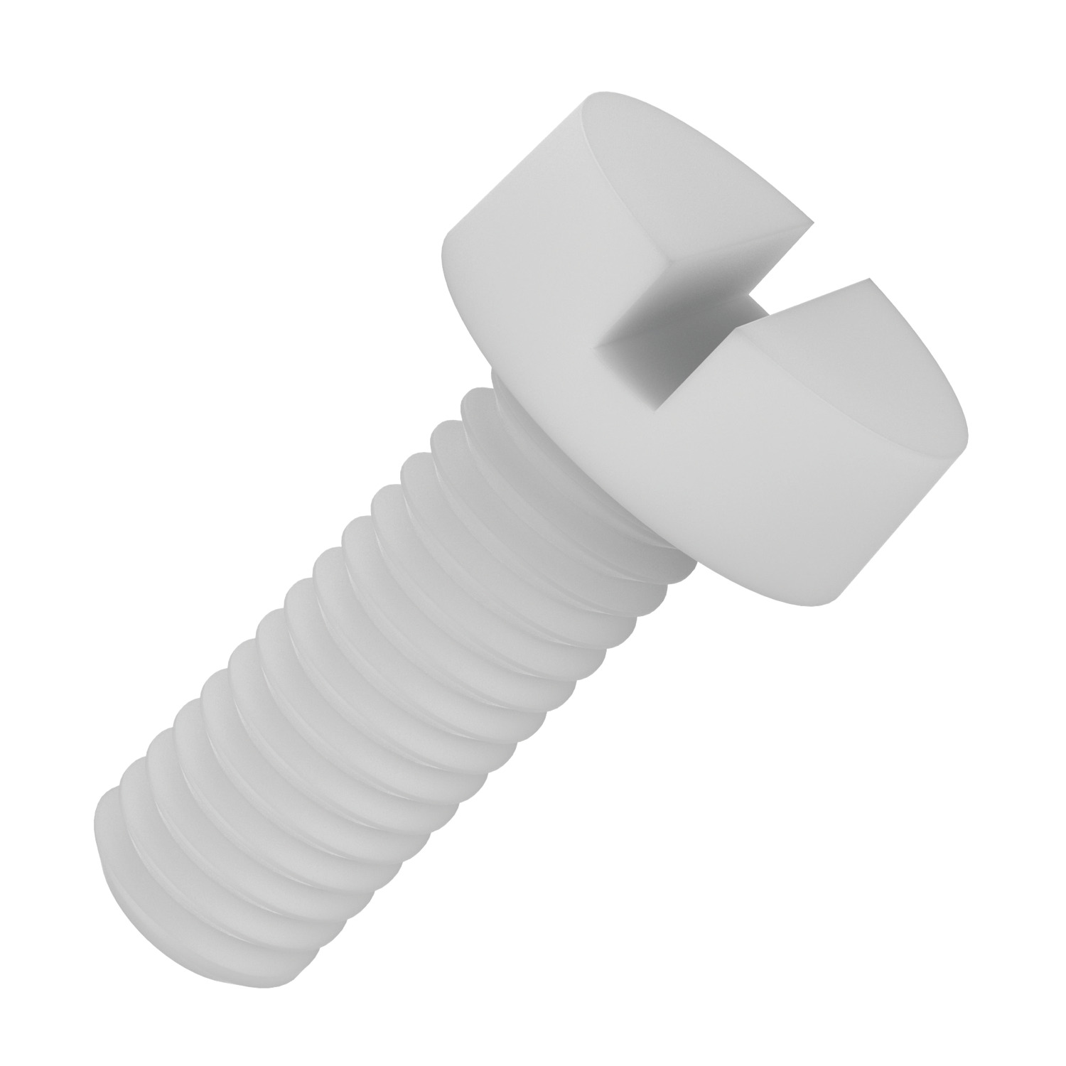 P0001.N2 Slotted Cheese Head Screws