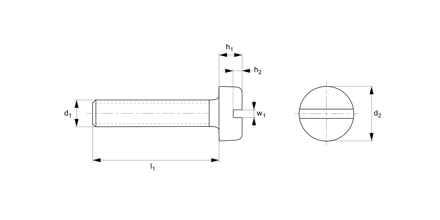 T0001.T2 Slotted Cheese Head Screws