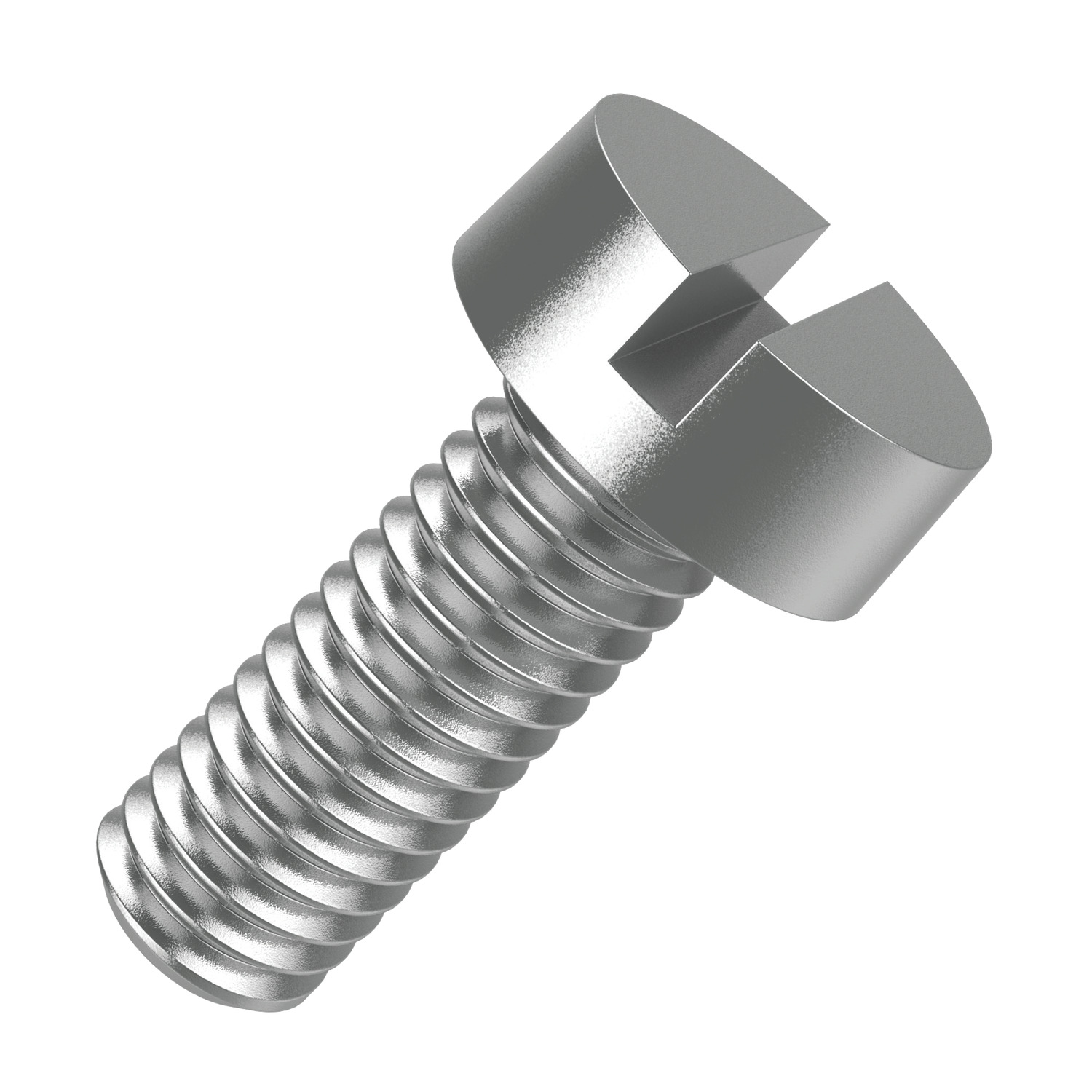 T0001.T2 Slotted Cheese Head Screws