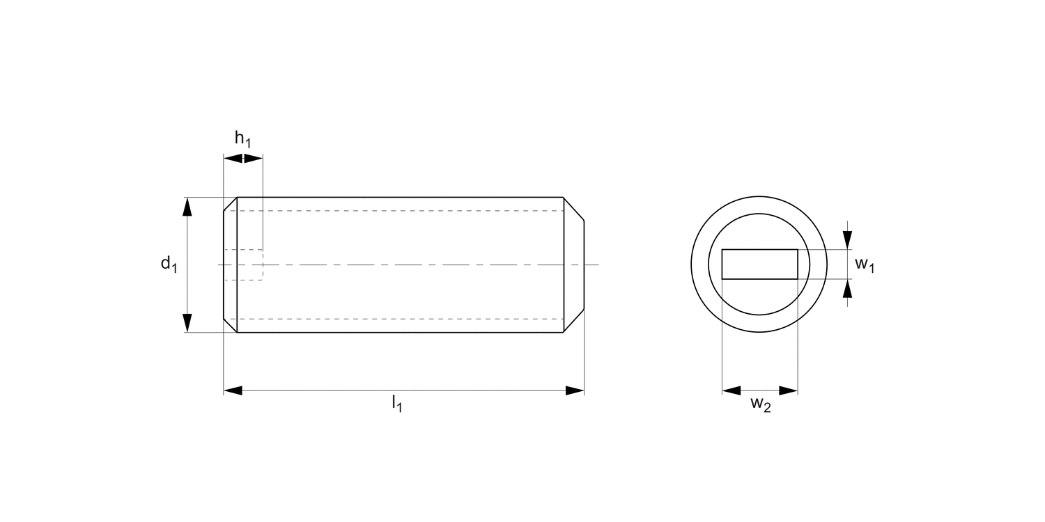 N0028.55N Enclosed Slotted Screw Set Flat Point