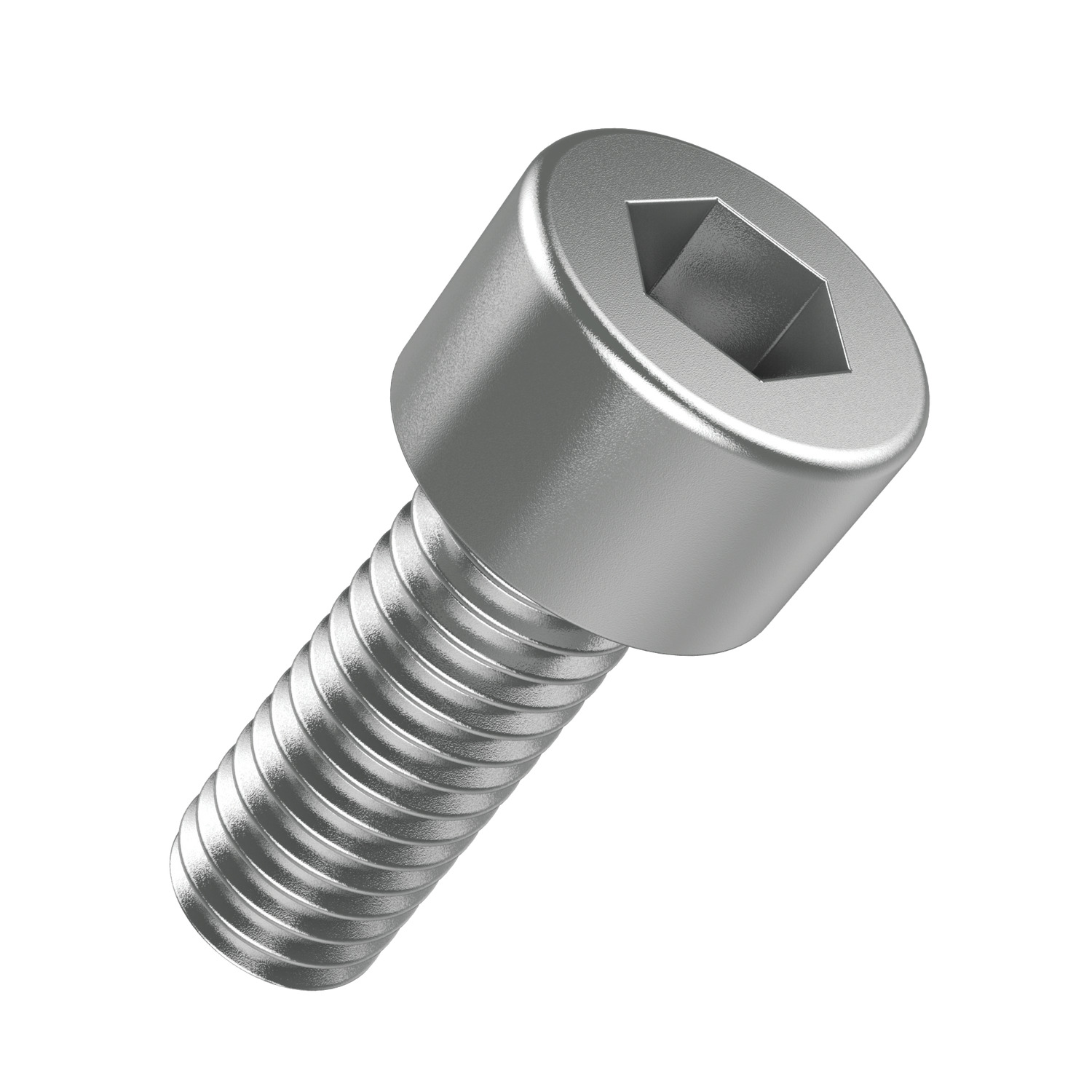 T0010.91T.1 Socket Cap Screw - M2 - M6