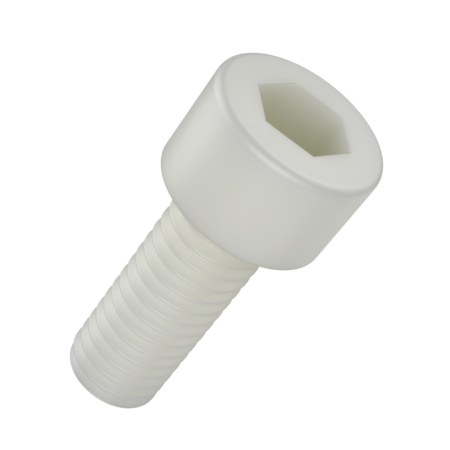 N0007.91N Socket Cap Screws