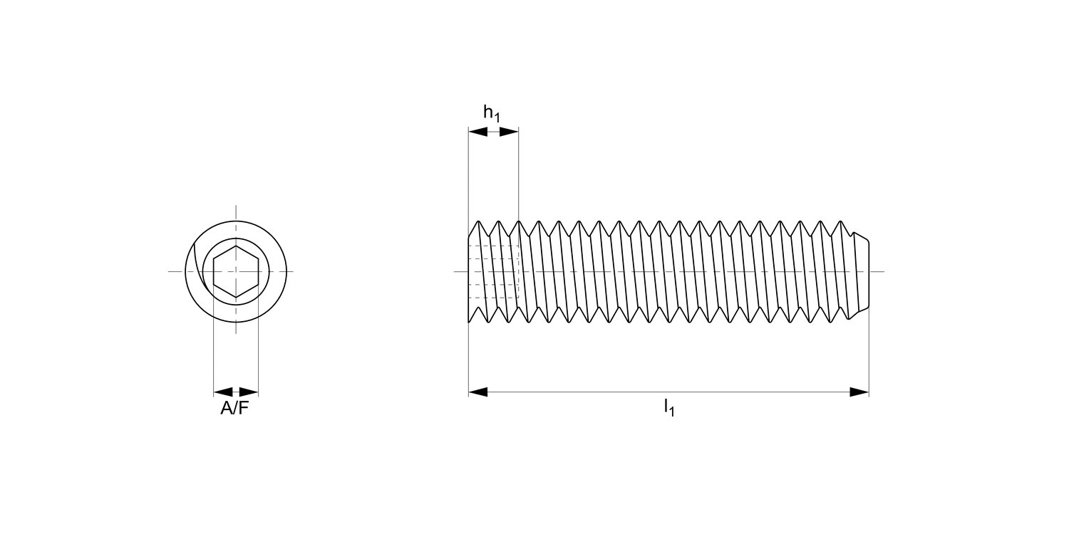 N0031.30N Socket Set Screw Flat Point
