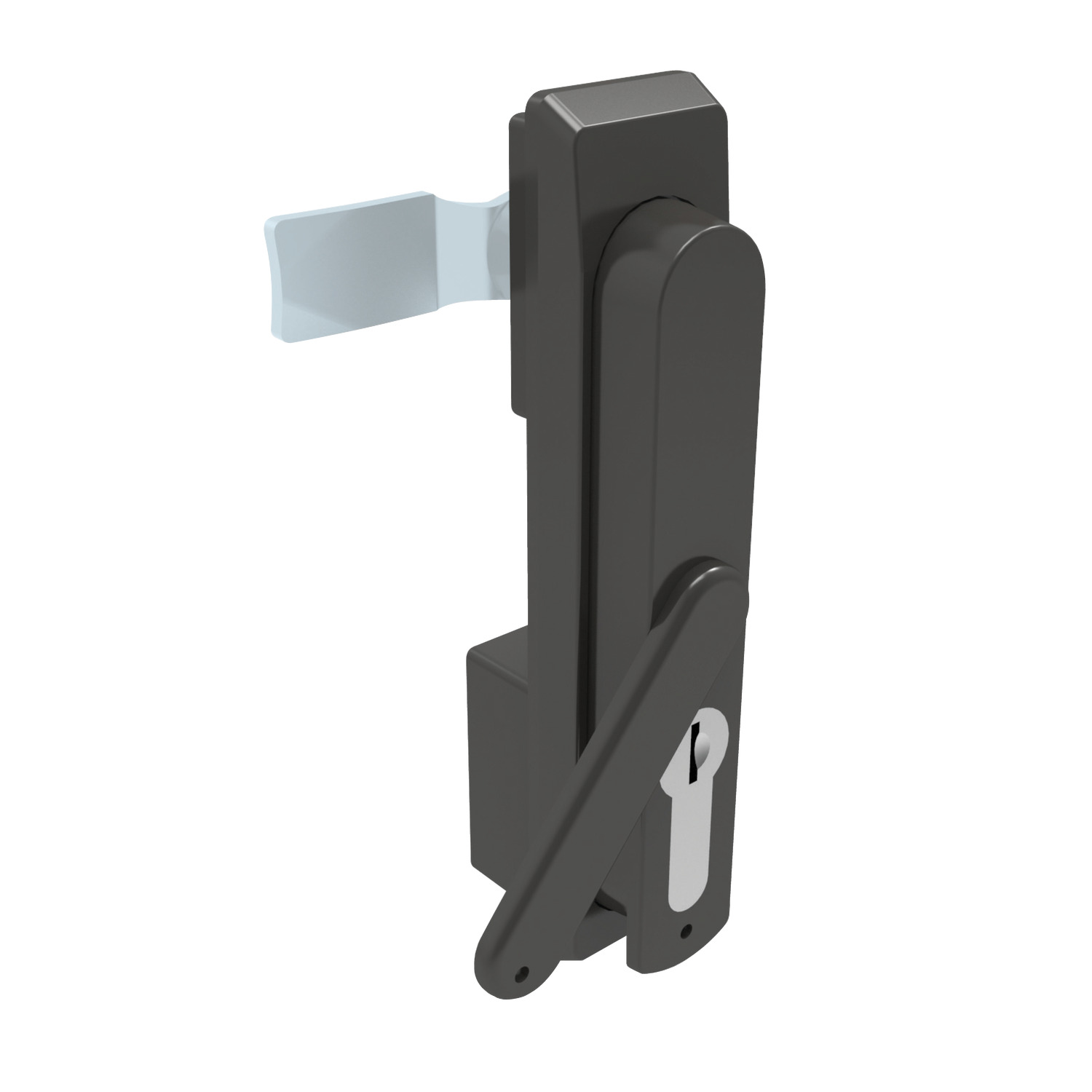 PL0100 Swing Handles - Cam Control