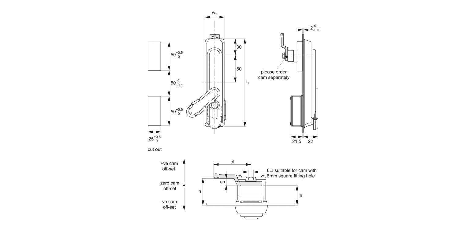 PL0110 Swing Handles - Cam Control