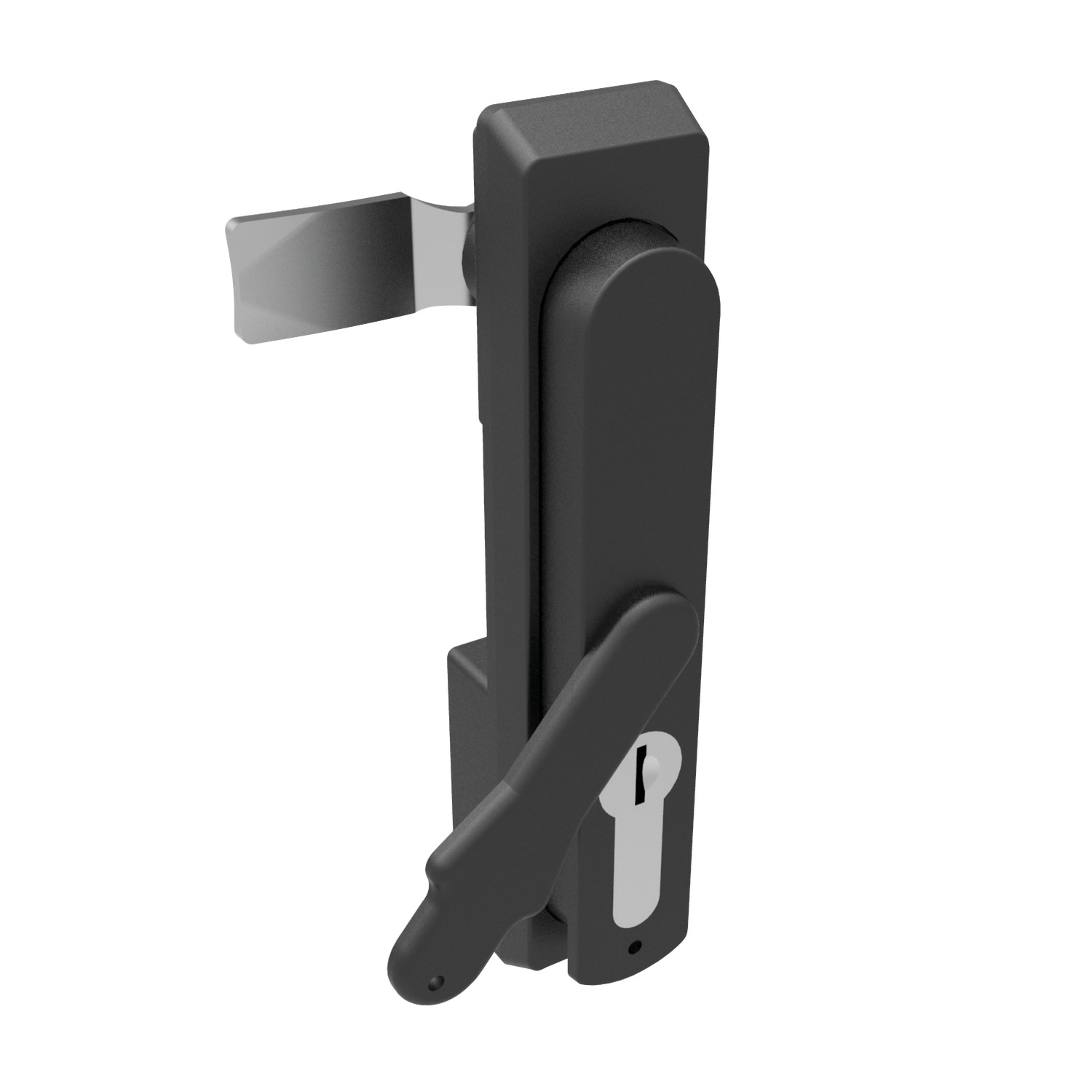 PL0110 Swing Handles - Cam Control